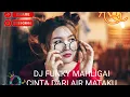 Download Lagu DJ FUNKY MAHLIGAI CINTA DARI AIR MATAKU