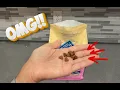 Is Blue Buffalo Life Protection Puppy Food Worth It