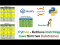 Python Retrieve Matching Rows From Two Dataframes