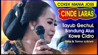 Download Cinde Laras terbaru Sinden ayu Tata Tayub gechul Bandung Alus kowe cidro MP3