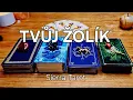 Download Lagu Výklad karet 🃏 JAKÝ ŽOLÍK MÁŠ OD ŽIVOTA?🃏🎉💗🍀💫