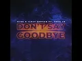 Don't Say Goodbye - Alok, Ilkay Sencan & Tove Lo