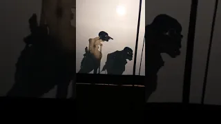 goro goro caping gunung 