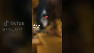 Ya Ana Dert Livré W Nti Og3di Gabri Ray Tiktok Shorts 