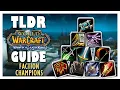 TLDR FACTION CHAMPIONS Guide - TOGC Guide for WOTLK Classic