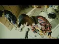Download Lagu SURL(설) - Cilla Official M/V