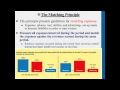Matching Principle - Professor Victoria Chiu