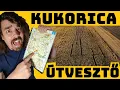 Download Lagu Eltévedtünk egy kukoricatáblában a román határ mellett...