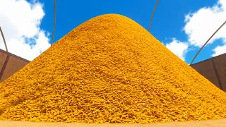 finding a needle in a haystack