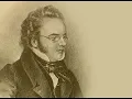 Schiff, Shiokawa, and Perényi play Schubert's Piano Trio No. 2 in E flat major (D.929) 
