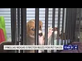 Stricter rules at Pinellas County pet stores after hundreds of violations