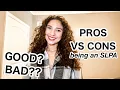 Speech Language Pathology Assistant - PROS AND CONS OF THE JOB