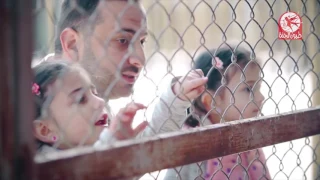 حديقة الحيوان بدون إيقاع إبراهيم وليليان وجوان طيور الجنة 