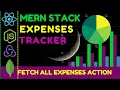 mern stack project Expenses tracker fetch all expenses