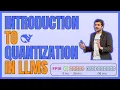 Introduction to LLM Quantization