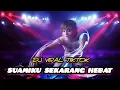 Download Lagu DJ VIRAL TIKTOK - SUAMIKU SEKARANG HEBAT