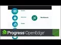 OpenEdge Getting Started with Progress Developer Studio for OpenEdge