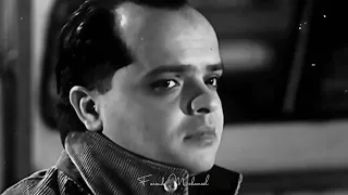 همام في أمستردام  همام في أمستردام