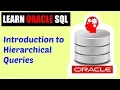 Learn Oracle SQL Introduction to Hierarchical Queries