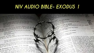 EXODUS 1 NIV BIBLE with text