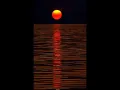 Omar Bashir - Sound of Civilization - عمر بشير