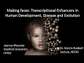 Making Faces Transcriptional Enhancers in Human Development Disease and Evolution April 11 2023