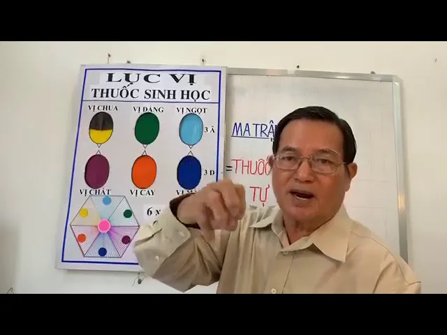 Outline Video BÀI LỤC VỊ PHẦN 1:: VỊ CHUA -VỊ CHÁT- Phương pháp Cân bằng năng lượng Phạm Tám