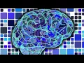 Download Lagu Increase IQ Isochronic Binaural Beat - Intelligence Booster - Free Binaural Beats