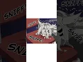 Download Lagu [Arknights] Lappland Fetish