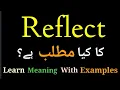 Reflect Meaning in Urdu