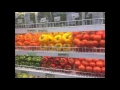 fresh value mas