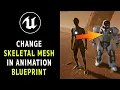 Change the Skeletal Mesh in your Animation Blueprint in Unreal Engine UE5