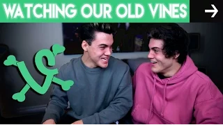 watching our old vines