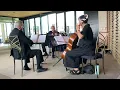 Wake Me Up by Avicii ~ String Quartet wedding cocktail hour, Columbus Musicians, LLC