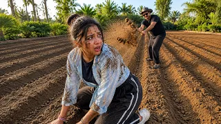 Pati-Patni Ki Kheti... Ya WWE? 😂 😂  || Farming Vlog 4