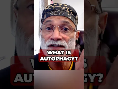 What is Autophagy?