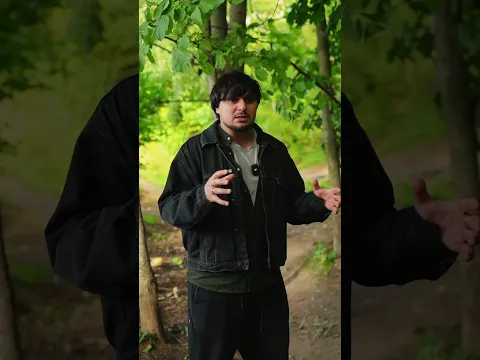 А кого выбрал бы ты ?