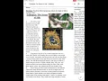 EdHelper The Secret of Silk - Read Aloud