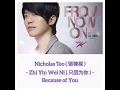 Nicholas Teo 張棟樑 -Zhi Yin Wei Ni 只因为你 - Because of You