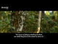 Download Lagu Surah Al Hijr  Hazza Al Balushi: Soothing Recitation   سورة الحجر   هزاع البلوشي
