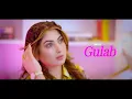 pehle to kabhi kabhi gham tha - gulaab - official - kb production