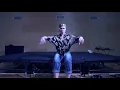 GIRL BDASH || FREEDOM ( Steve Angello and Pusha T )