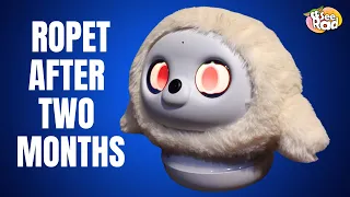 How Our ROPET Is Doing After Two Months Tips Tricks 