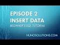 SQL Server - Insert Data into Table Episode 2
