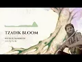 Download Lagu Niv Klil Hahoreah - Sources 2 - Tzadik Bloom
