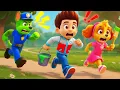 Download Lagu Zombie CHASE Got Angry! What's Happened?! Very Funny Story - Paw Patrol 2D Animation | Rainbow 3