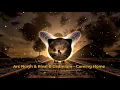 Download Lagu Arc North \u0026 Rival \u0026 Cadmium - Coming Home  [Ani LyriBeats]