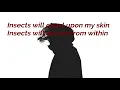 Mr kitty - Insects