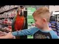 Best pet supplies store in Omaha NE Pet Supplies Plus - 132nd W Center Rd