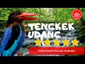 Download Lagu tengkek udang gacor 10 Jam - suara air terbaik